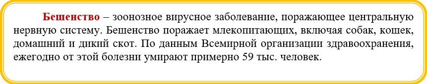 Как не стать жертвой вируса бешенства 1.jpg